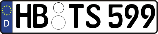 HB-TS599