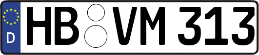 HB-VM313