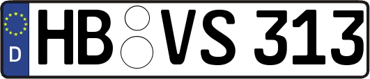 HB-VS313