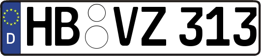 HB-VZ313