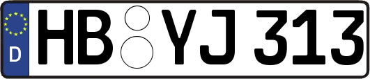 HB-YJ313