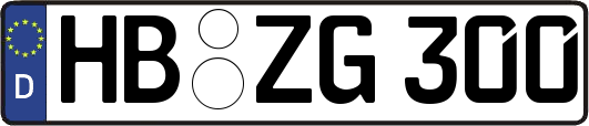 HB-ZG300