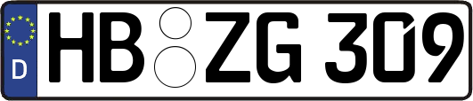 HB-ZG309
