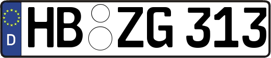 HB-ZG313