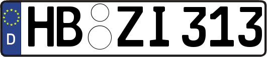 HB-ZI313