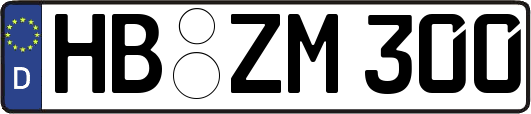 HB-ZM300