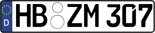 HB-ZM307