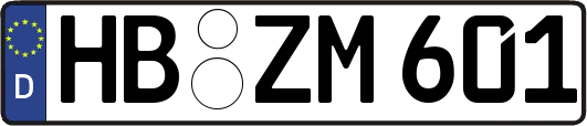 HB-ZM601