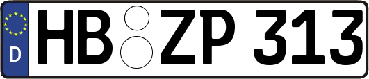 HB-ZP313