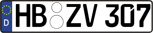 HB-ZV307