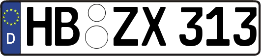 HB-ZX313