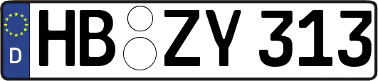 HB-ZY313