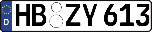 HB-ZY613