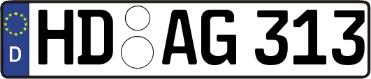 HD-AG313