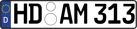 HD-AM313