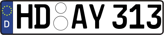 HD-AY313