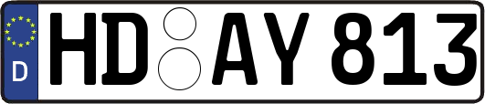 HD-AY813