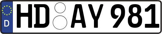 HD-AY981