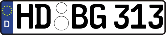 HD-BG313