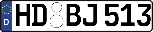 HD-BJ513