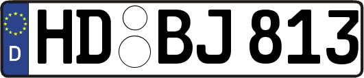 HD-BJ813