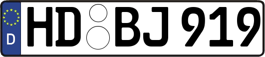HD-BJ919