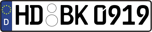 HD-BK0919