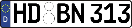 HD-BN313
