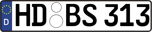HD-BS313
