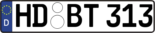 HD-BT313