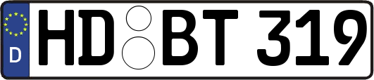 HD-BT319