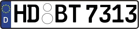 HD-BT7313
