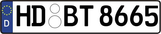 HD-BT8665