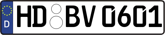 HD-BV0601