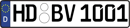 HD-BV1001