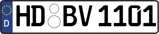 HD-BV1101