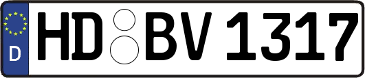 HD-BV1317