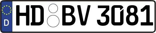 HD-BV3081