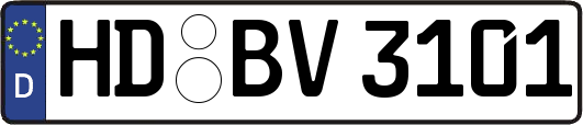 HD-BV3101