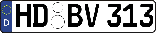 HD-BV313