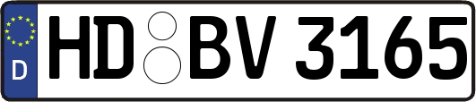 HD-BV3165