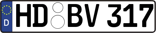 HD-BV317