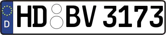 HD-BV3173