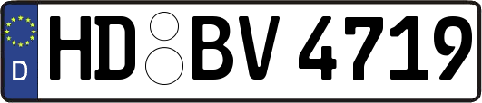HD-BV4719