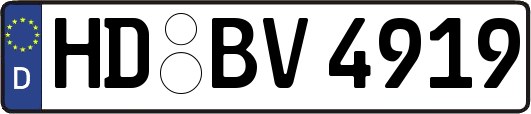 HD-BV4919