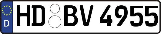 HD-BV4955