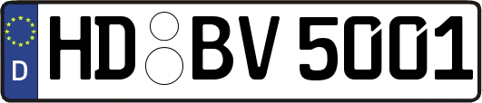 HD-BV5001
