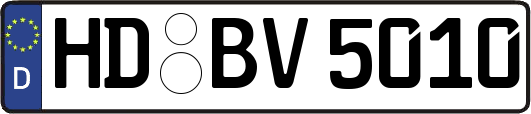 HD-BV5010