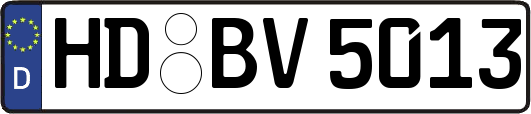 HD-BV5013