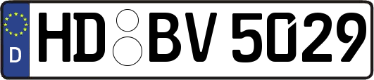 HD-BV5029